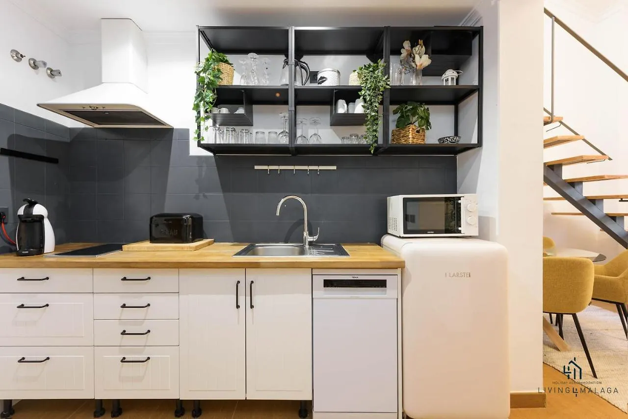 Living4Malaga Relax Inn Apartment Malaga